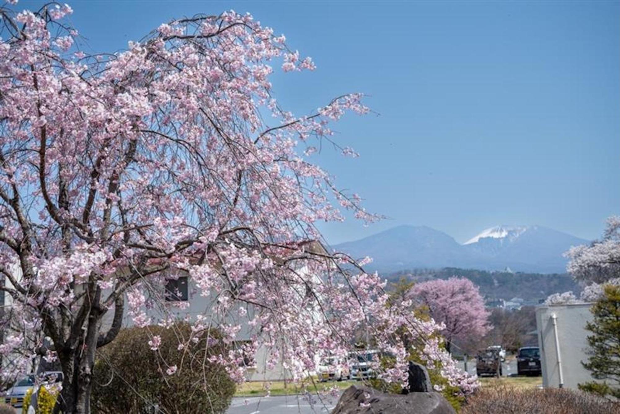 ホテル 布引温泉こもろ 小諸市 エクステリア 写真