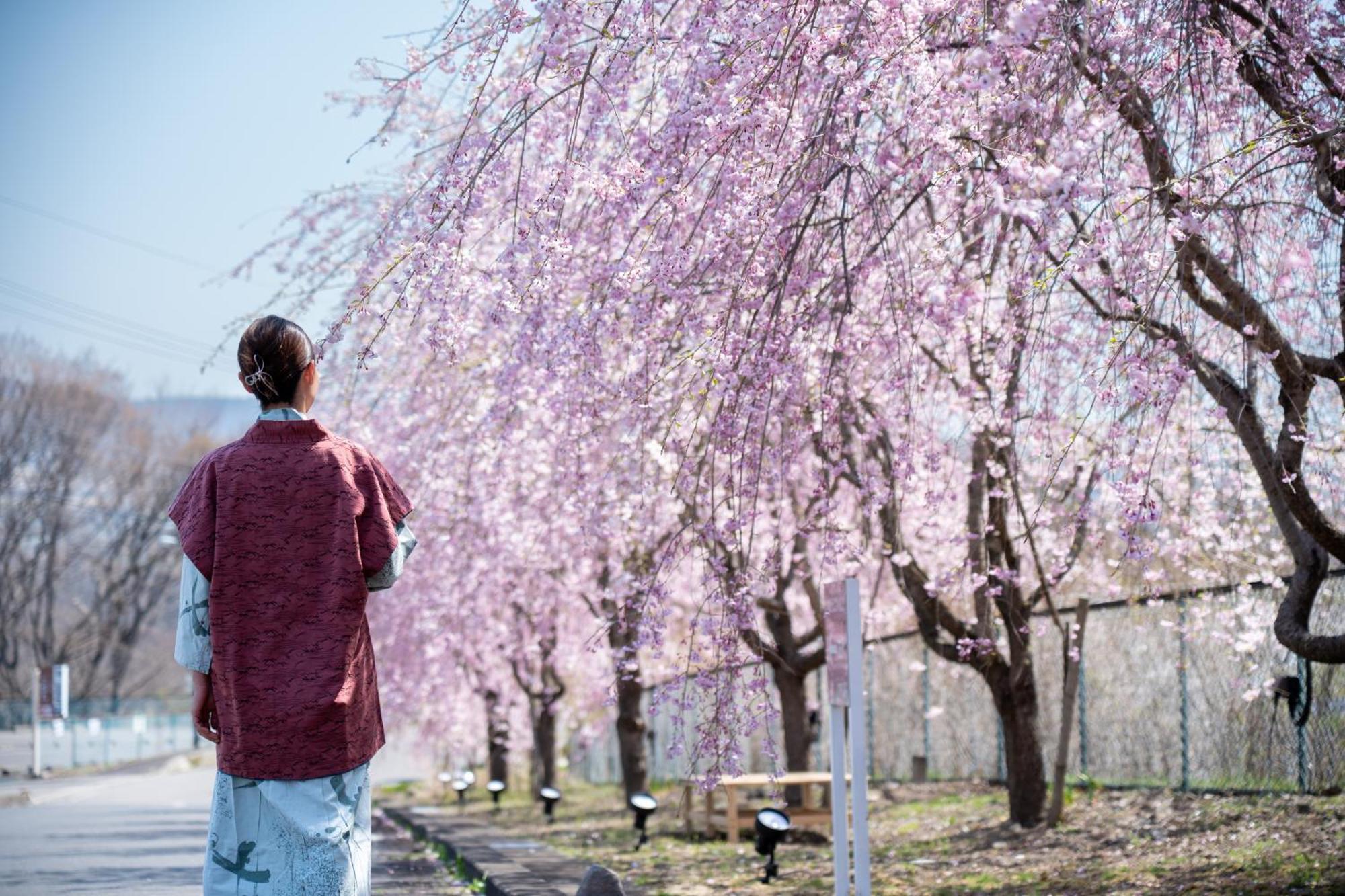 ホテル 布引温泉こもろ 小諸市 エクステリア 写真